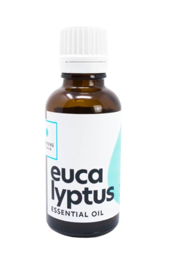 806 a80b7978df0c9e32f25902ab92fdabcf Eucalyptus Essential Oil (1oz)